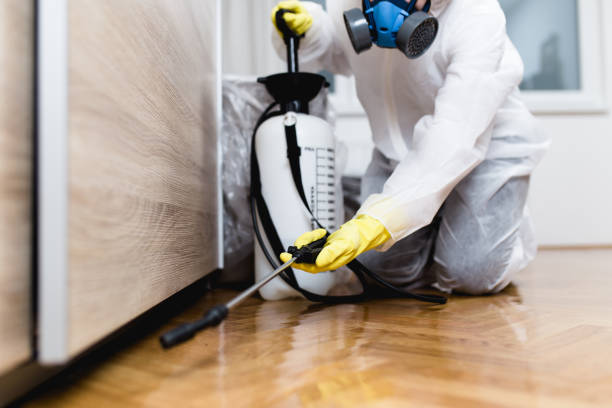 Best Pest Removal Services  in White City, OR