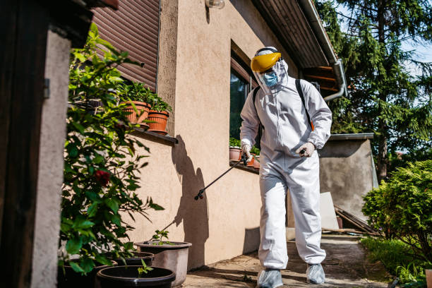 Best Emergency Pest Control  in White City, OR