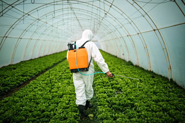 Reliable White City, OR Pest Control Solutions