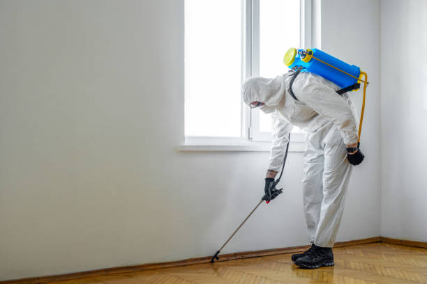 Best Local Pest Control Services  in White City, OR