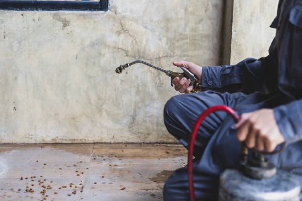 Best Best Pest Control Companies  in White City, OR