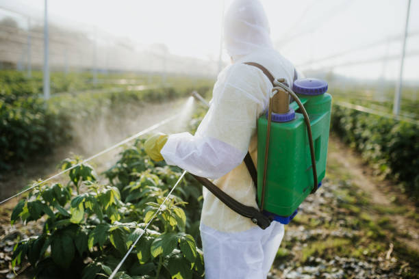 Best Cockroach Control Services  in White City, OR